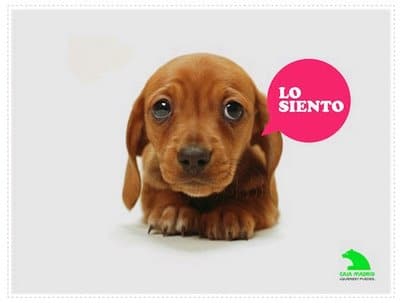 publicidad de bancos publicidad-bancos-cajas-cajamdrid